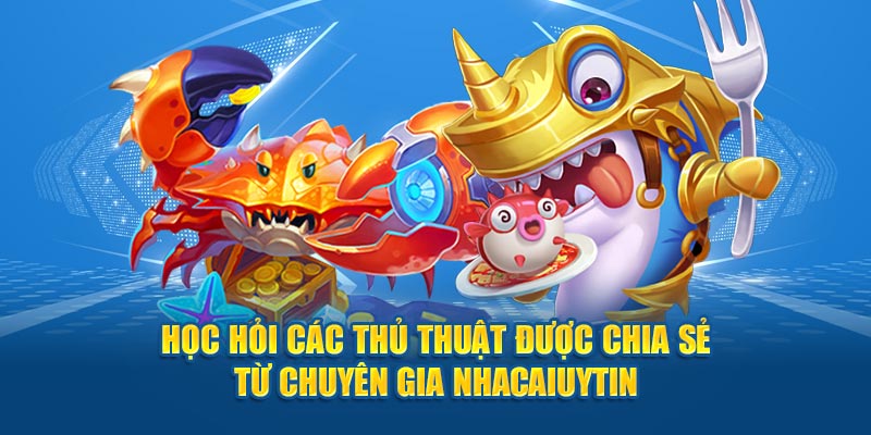 Học hỏi các thủ thuật được chia sẻ từ chuyên gia Nhacaiuytin