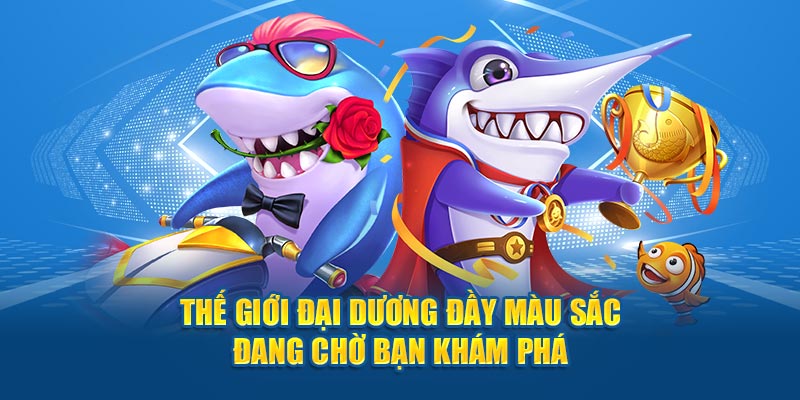 Thế giới đại dương đang chờ anh em khám phá