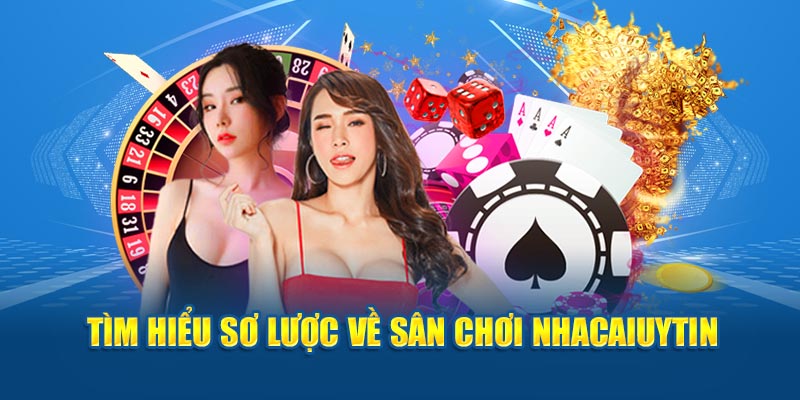 Tìm hiểu sơ lược về sân chơi Nhacaiuytin