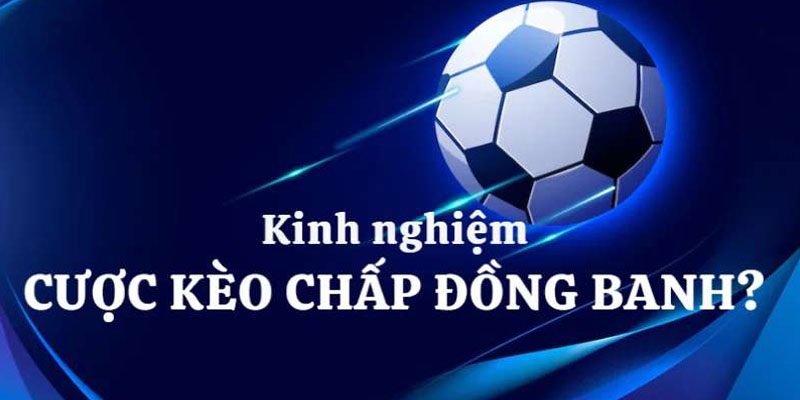 Chiến thuật nhận định tỷ lệ 0 trái châu Á hiệu quả