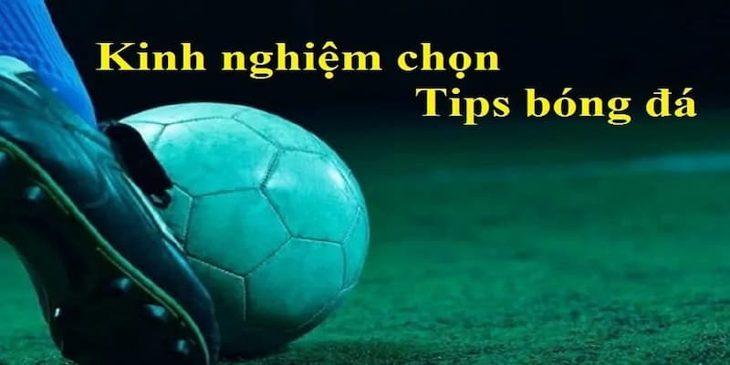 Các chiến lược chọn tips bóng đá hiệu quả